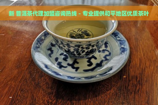 新 普洱茶代理加盟咨询热线 - 专业提供和平地区优质茶叶