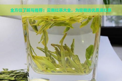 全方位了解与推荐：云南红茶大全，为您精选优质滇红茶