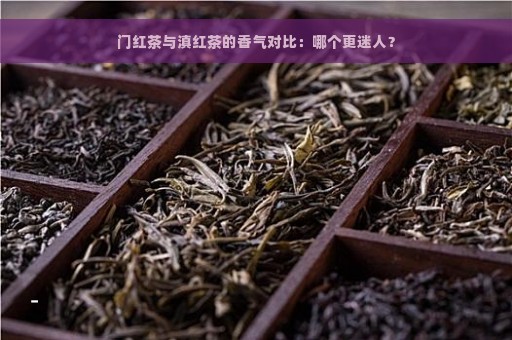 门红茶与滇红茶的香气对比：哪个更迷人？