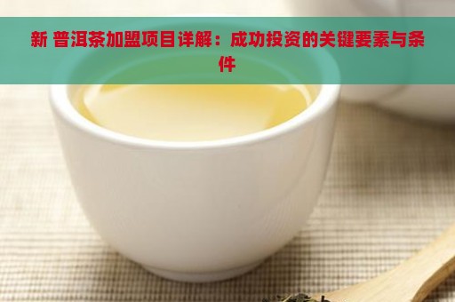 新 普洱茶加盟项目详解：成功投资的关键要素与条件