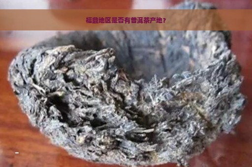 福鼎地区是否有普洱茶产地？