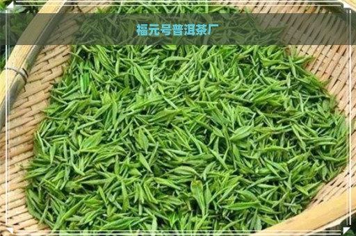 福元号普洱茶厂