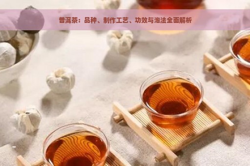 普洱茶：品种、制作工艺、功效与泡法全面解析