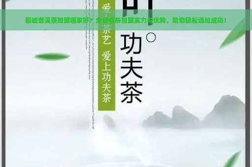 聊城普洱茶加盟哪家好？全面解析加盟实力与优势，助您轻松选址成功！