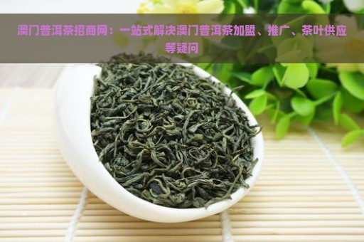 澳门普洱茶招商网：一站式解决澳门普洱茶加盟、推广、茶叶供应等疑问