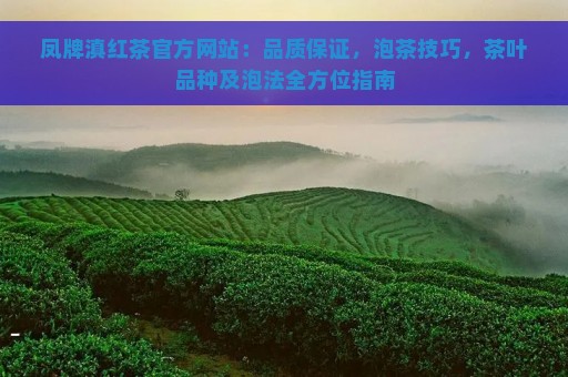 凤牌滇红茶官方网站：品质保证，泡茶技巧，茶叶品种及泡法全方位指南