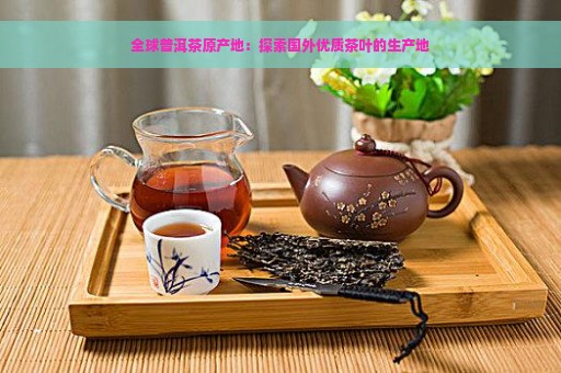 全球普洱茶原产地：探索国外优质茶叶的生产地