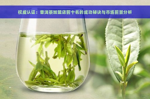 权威认证：普洱茶加盟店前十名的成功秘诀与市场前景分析