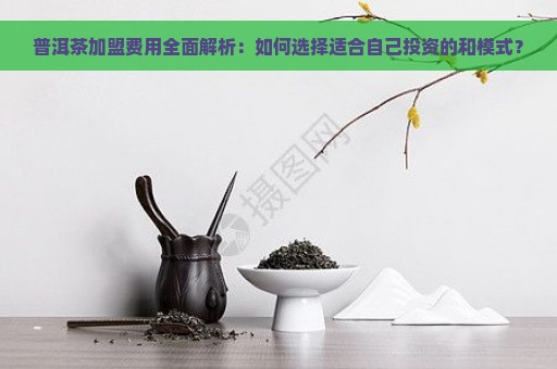 普洱茶加盟费用全面解析：如何选择适合自己投资的和模式？