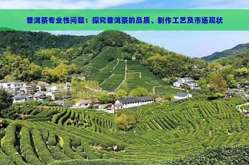 普洱茶专业性问题：探究普洱茶的品质、制作工艺及市场现状