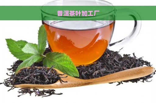 普洱茶叶加工厂