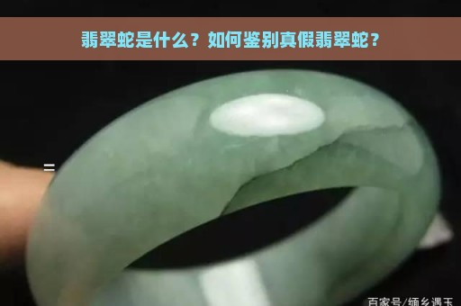 翡翠蛇是什么？如何鉴别真假翡翠蛇？