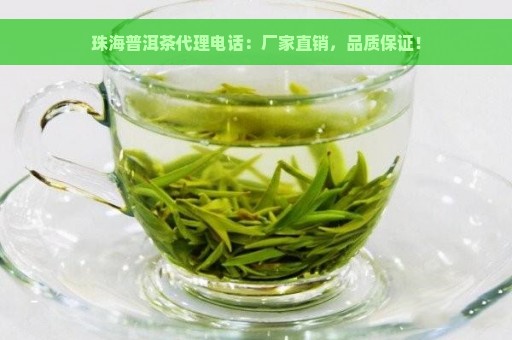 珠海普洱茶代理电话：厂家直销，品质保证！