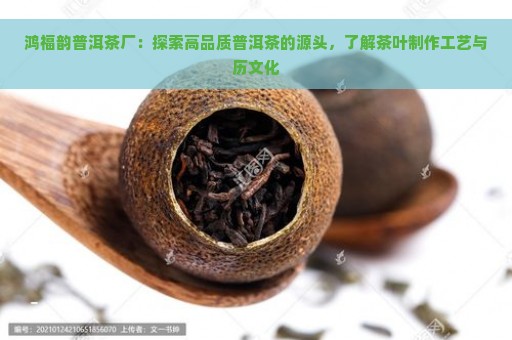 鸿福韵普洱茶厂：探索高品质普洱茶的源头，了解茶叶制作工艺与历文化