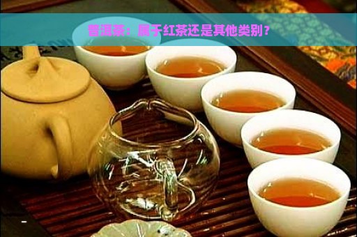 普洱茶：属于红茶还是其他类别？