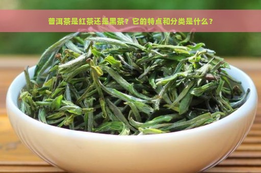 普洱茶是红茶还是黑茶？它的特点和分类是什么？