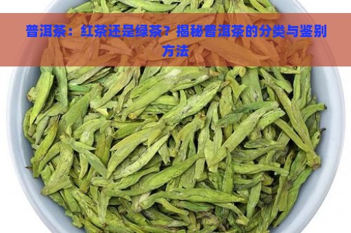 普洱茶：红茶还是绿茶？揭秘普洱茶的分类与鉴别方法