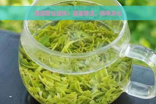 普洱茶公益传：品鉴普洱，传承文化