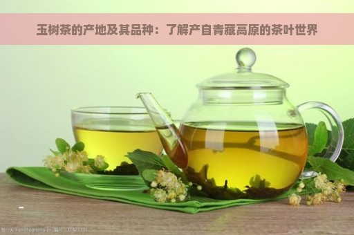 玉树茶的产地及其品种：了解产自青藏高原的茶叶世界