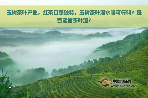 玉树茶叶产地，红茶口感独特，玉树茶叶泡水喝可行吗？是否能留茶叶渣？