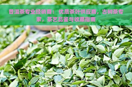 普洱茶专业经销商： 优质茶叶供应商，古树茶专家，茶艺品鉴与收藏指南