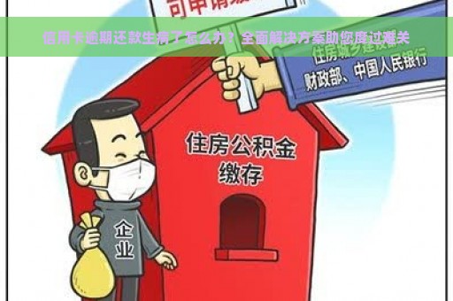 信用卡逾期还款生病了怎么办？全面解决方案助您度过难关