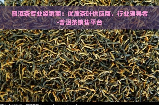 普洱茶专业经销商：优质茶叶供应商，行业领导者-普洱茶销售平台