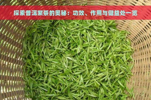 探索普洱紫茶的奥秘：功效、作用与健益处一览