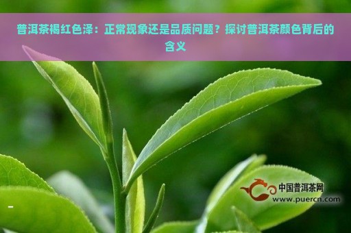 普洱茶褐红色泽：正常现象还是品质问题？探讨普洱茶颜色背后的含义