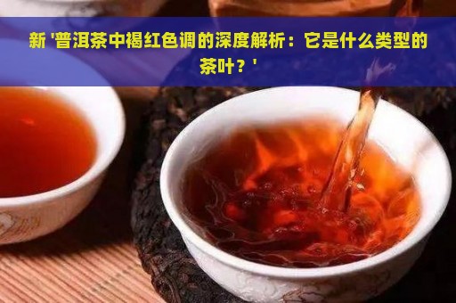 新 '普洱茶中褐红色调的深度解析：它是什么类型的茶叶？'