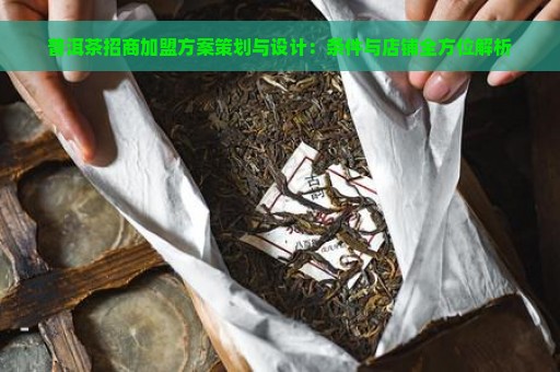 普洱茶招商加盟方案策划与设计：条件与店铺全方位解析