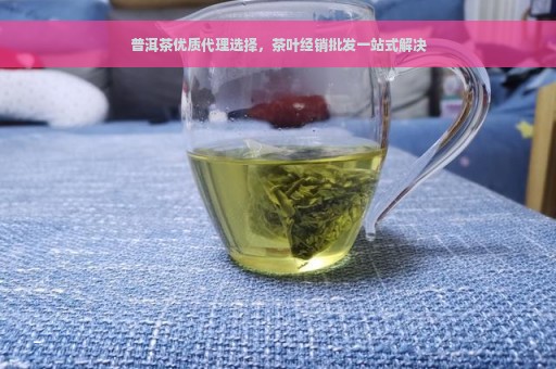 普洱茶优质代理选择，茶叶经销批发一站式解决