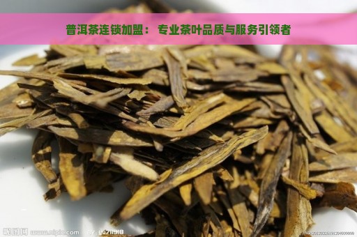 普洱茶连锁加盟： 专业茶叶品质与服务引领者