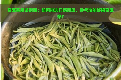 普洱茶品鉴指南：如何挑选口感醇厚、香气浓的好喝普洱茶？