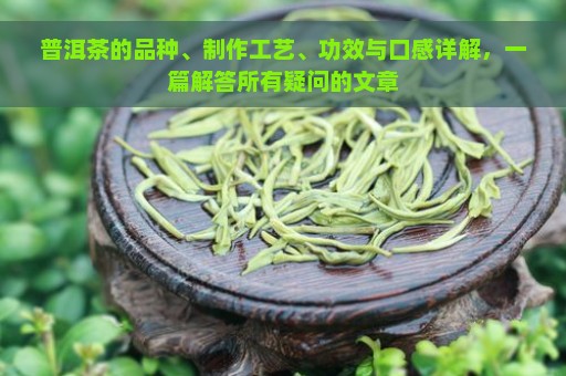 普洱茶的品种、制作工艺、功效与口感详解，一篇解答所有疑问的文章