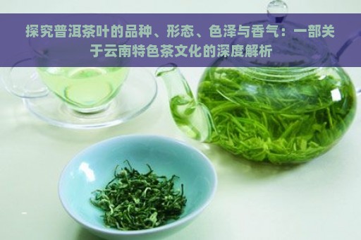 探究普洱茶叶的品种、形态、色泽与香气：一部关于云南特色茶文化的深度解析