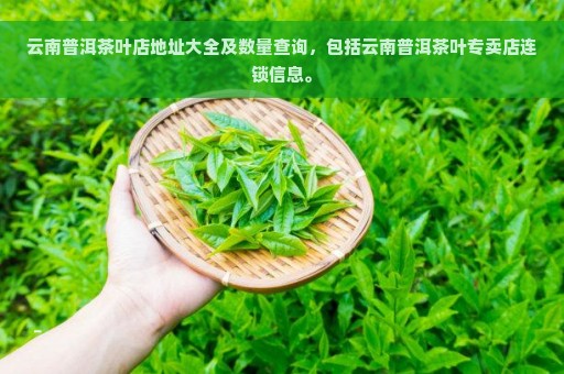 云南普洱茶叶店地址大全及数量查询，包括云南普洱茶叶专卖店连锁信息。