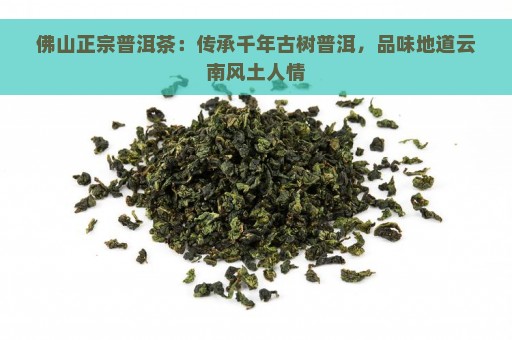 佛山正宗普洱茶：传承千年古树普洱，品味地道云南风土人情