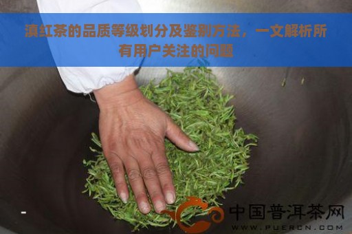 滇红茶的品质等级划分及鉴别方法，一文解析所有用户关注的问题