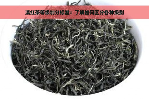 滇红茶等级划分标准：了解如何区分各种级别