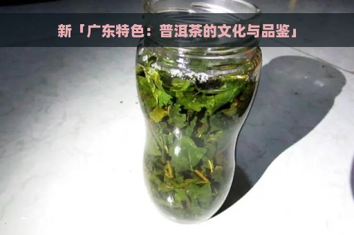 新「广东特色：普洱茶的文化与品鉴」