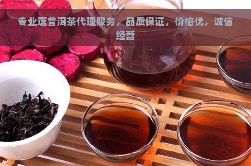 专业莲普洱茶代理服务，品质保证，价格优，诚信经营