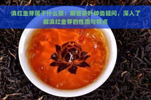 滇红金芽属于什么茶：解答茶叶种类疑问，深入了解滇红金芽的性质与特点