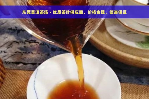 东莞普洱茶场 - 优质茶叶供应商，价格合理，信誉保证