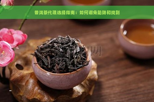 普洱茶代理选择指南：如何避免陷阱和找到