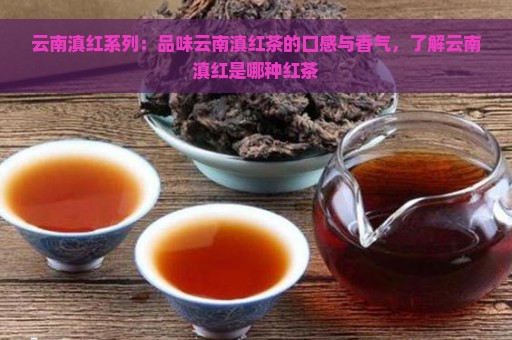 云南滇红系列：品味云南滇红茶的口感与香气，了解云南滇红是哪种红茶