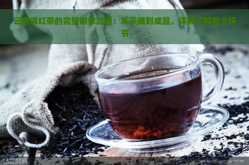 云南滇红茶的完整制作流程：从采摘到成品，详解了解每个环节