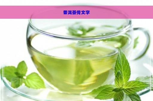 普洱茶传文字