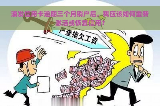 浦发信用卡逾期三个月销户后，我应该如何重新激活或恢复信用？