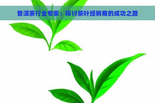 普洱茶行业专家：探讨茶叶经销商的成功之路